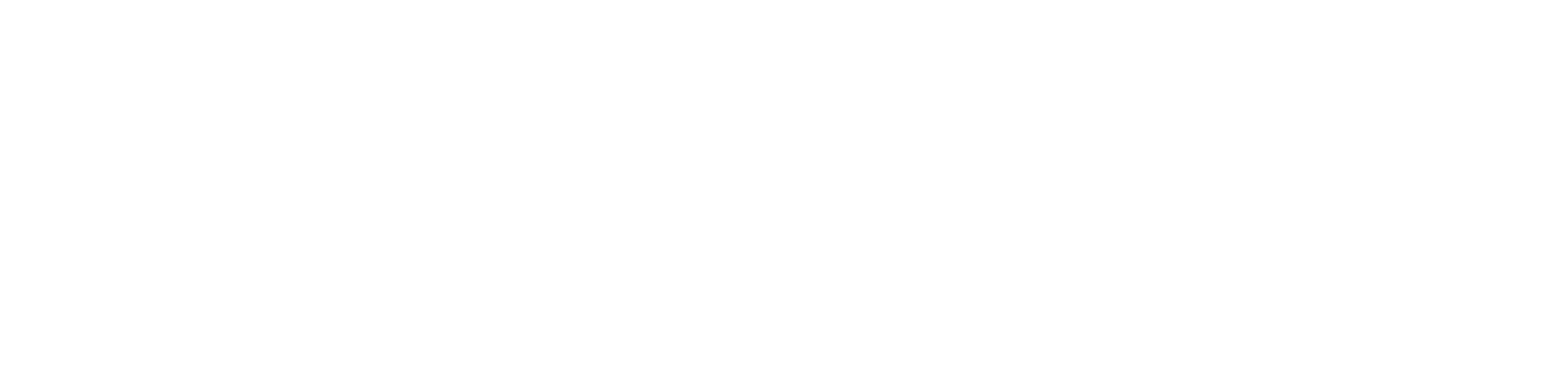 HosterBolt Logo White